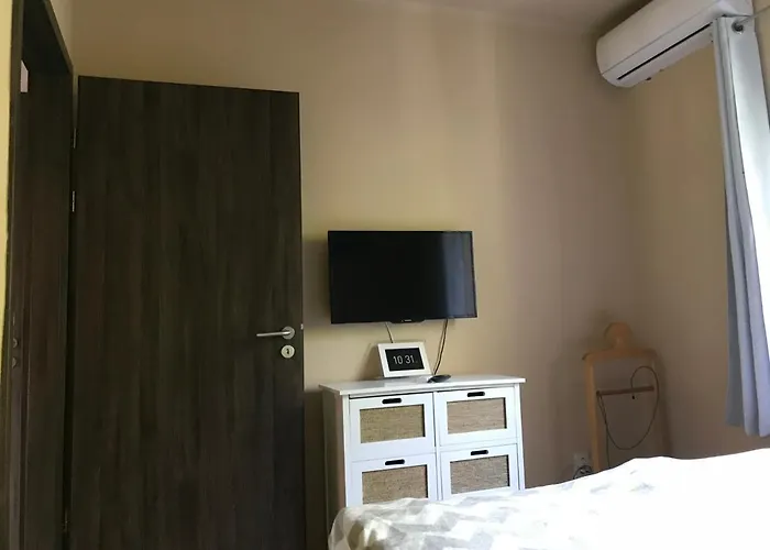 公寓 Central Apartman 巴拉顿菲赖德